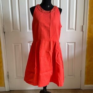 New York & Co orange dress